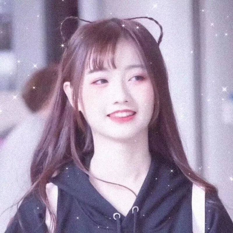 树木之城